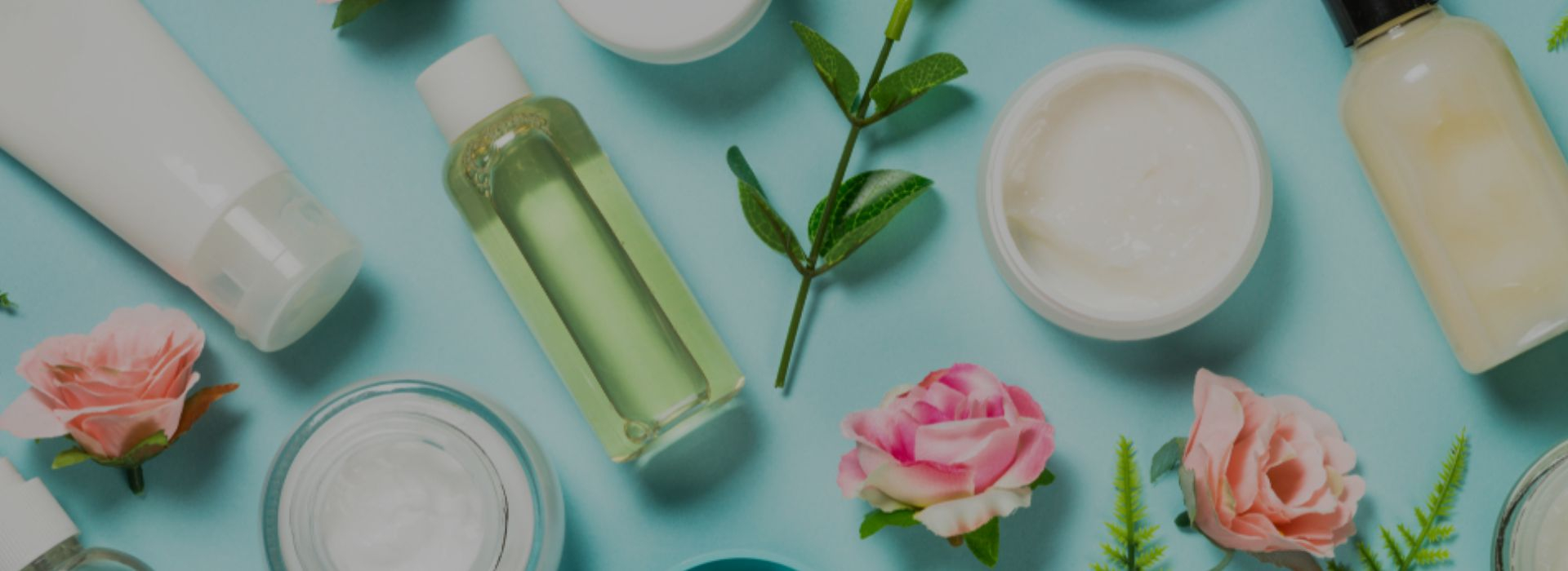 Want to start your own MLM company? Here is the one-stop solution