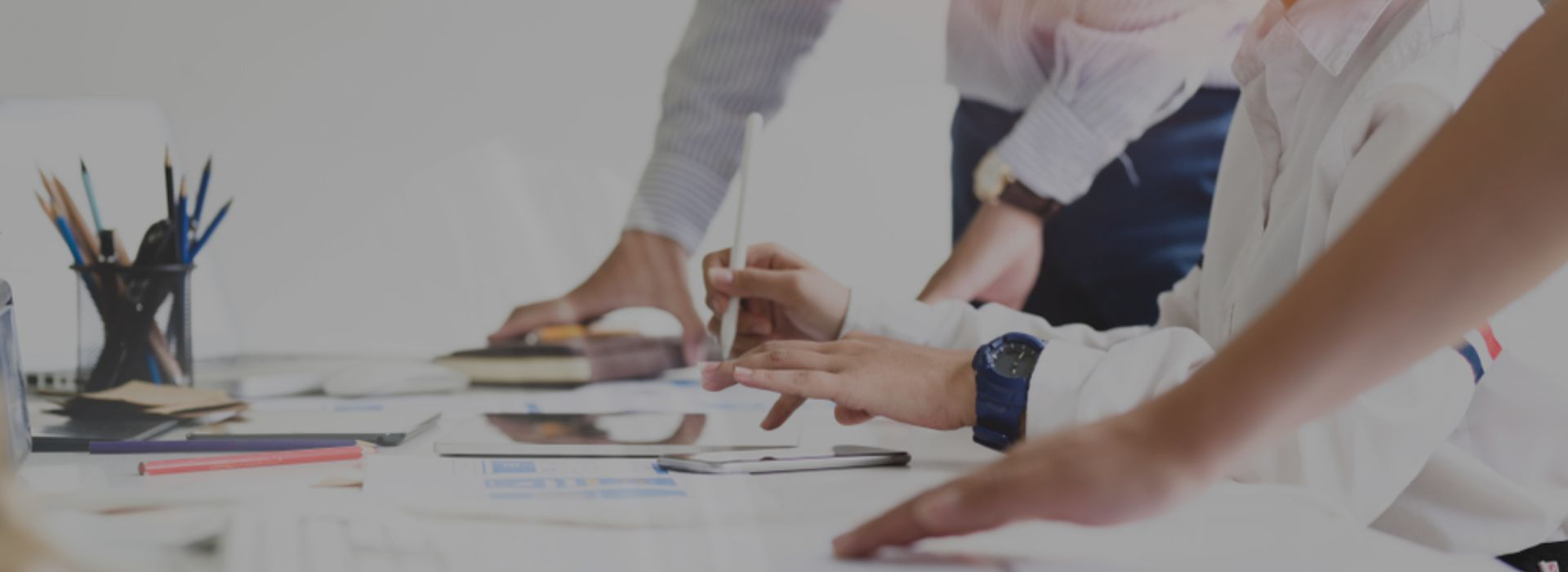 Want to start your own MLM company? Here is the one-stop solution